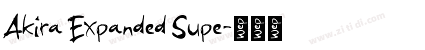 Akira Expanded Supe字体转换